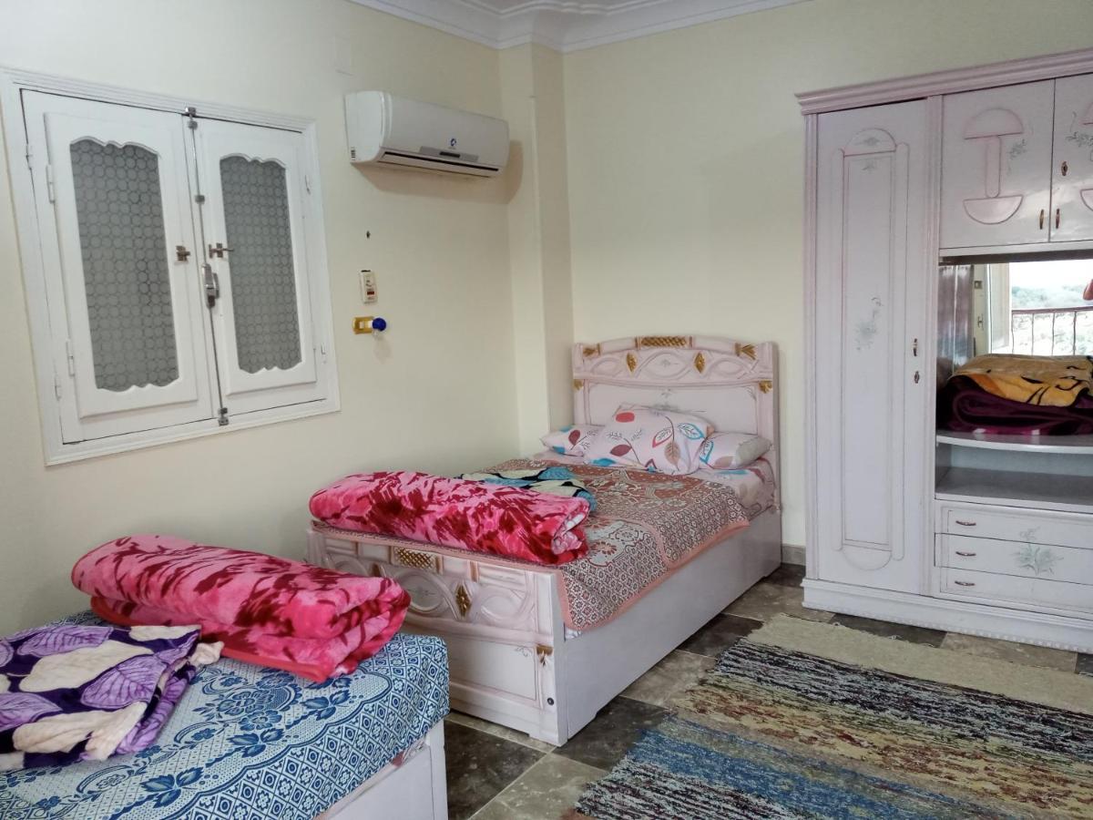 Go Inn Backpackers Aswan Exterior photo